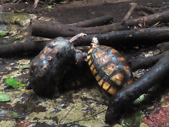 Barcelona: Museo de las Ciencias, 26 Barcelona: Museo de las Ciencias, 26