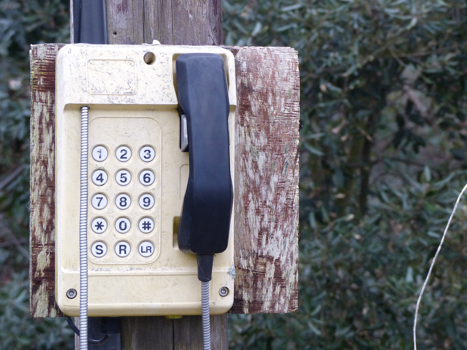Phone Alone (3) - 5 January 2015