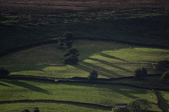 long shadows