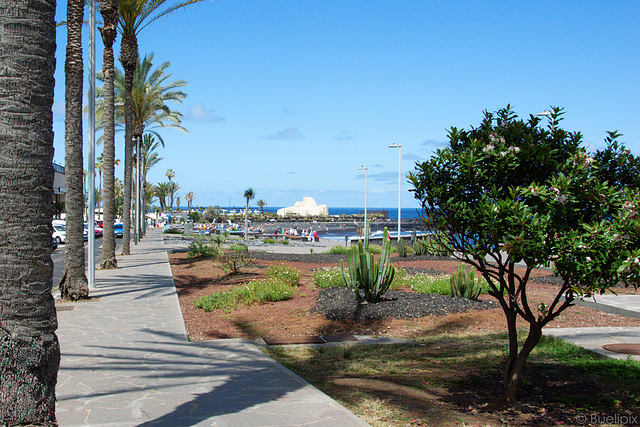 Playa Martianez, Puerto de La Cruz (© Buelipix)