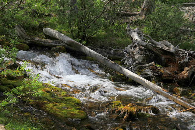 Grassi Lakes