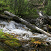 Grassi Lakes