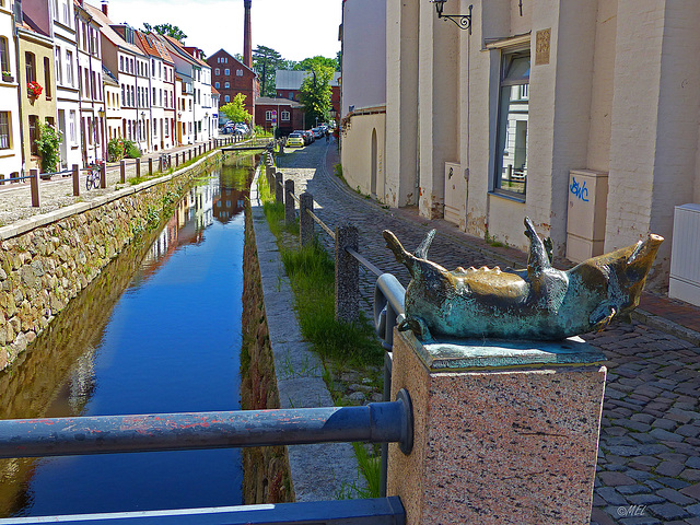 Glücksschwein oder glückliches Schwein?