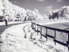 Zaun am Speichersee Geeste im Emsland - HFF