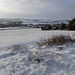 Bishopstone in the snow