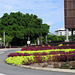 Roundabout In Cairns