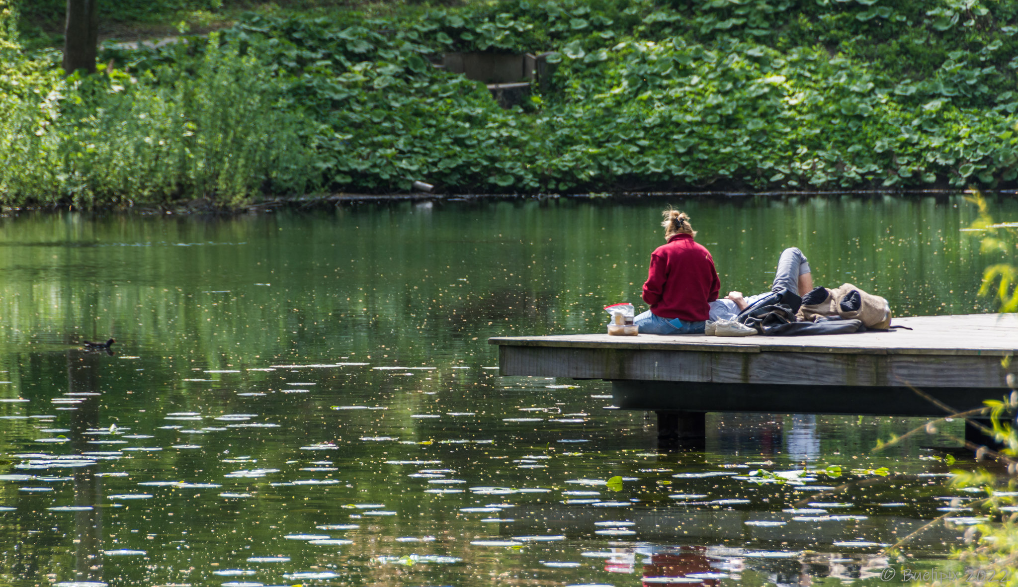 Planten un Blomen, Hamburg (© Buelipix)