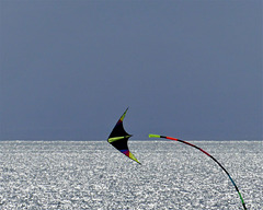 Kite dance 4