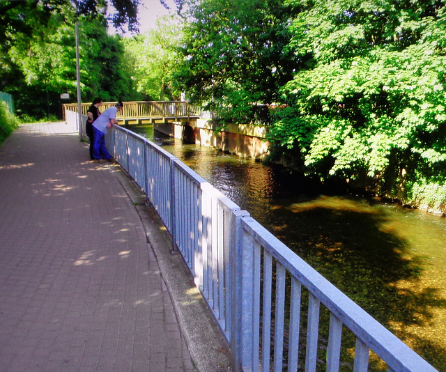 HFF---Next to the river Wurm (Geilenkirchen--d) for Everyone