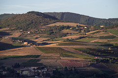 depuis le village de Ternand - Rhône