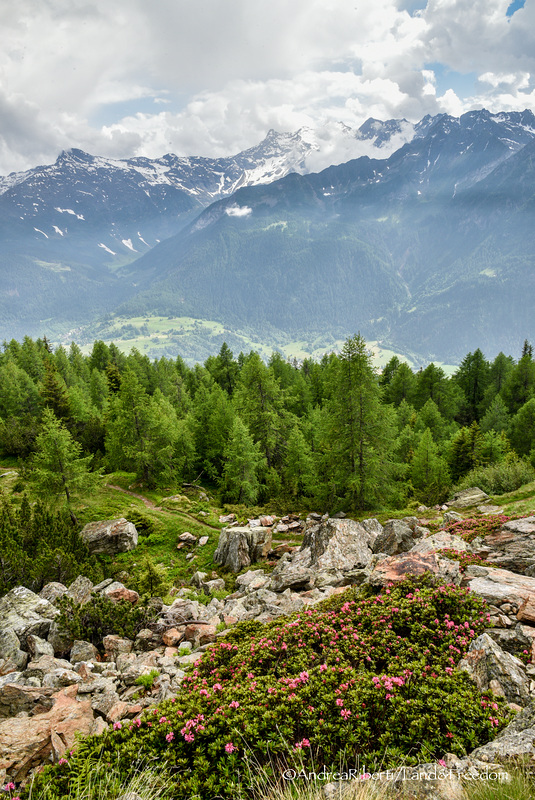 Campo Tencia group-Swiss Alps