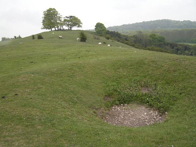 Beacon Hill Bowl Barrow