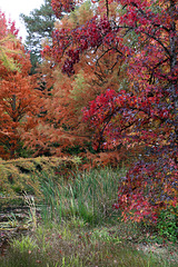 Je voulais poster cette photo en N&B , et puis j'ai changé d'avis .