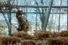 Les Mayas au musée du quai Branly