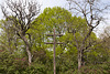 Kreuz am Staffelberg