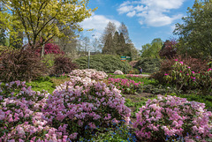 Planten un Blomen, Hamburg (© Buelipix)