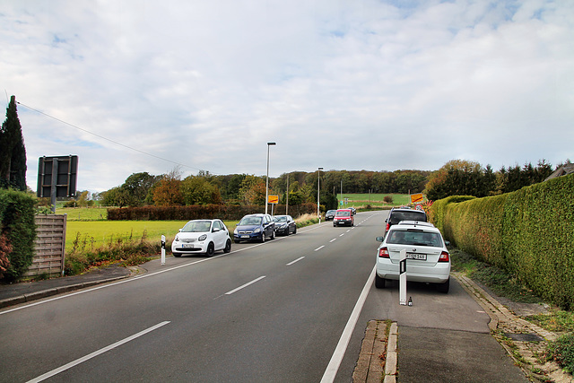 Elfringhauser Straße (Sprockhövel-Herzkamp) / 6.11.2022