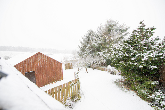 January Snows