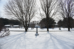 Winter Light and Shadow