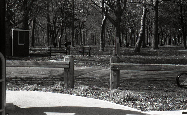 Fence Posts