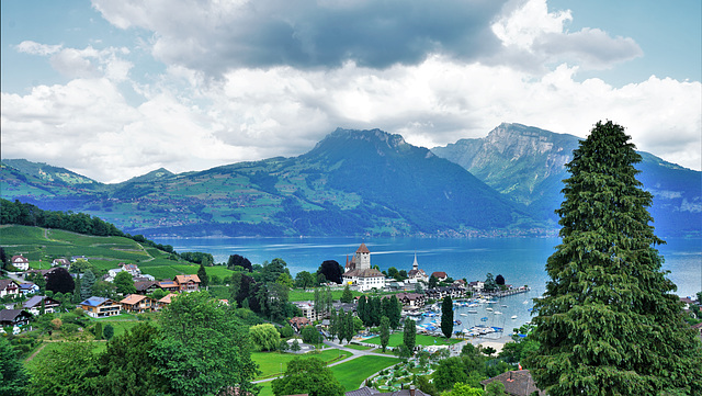 Spiez BE am Thunersee