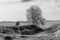 Avebury - 20150410