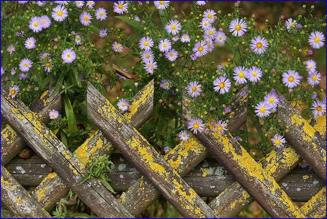 Herbst in Engelsband