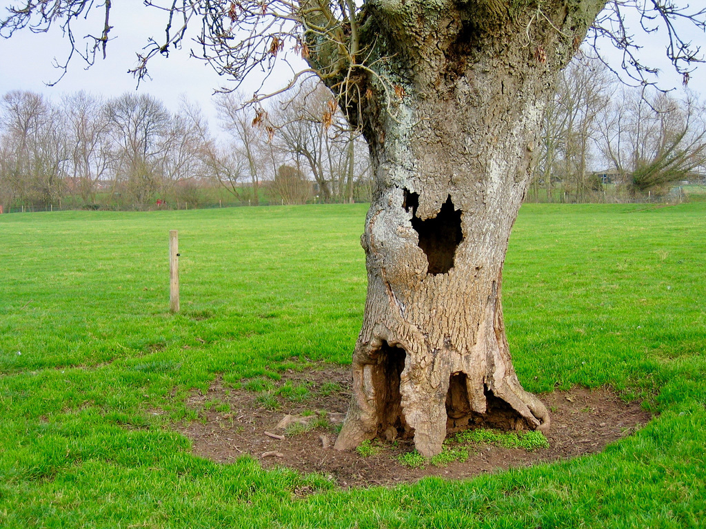 Seen better days, near the bank of the River Teme.