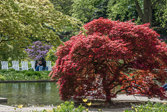 Planten un Blomen, Hamburg (© Buelipix)