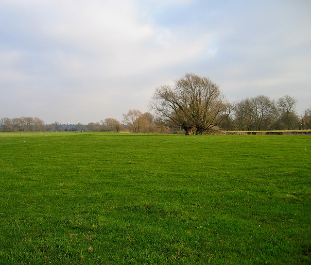Looking along the fields and bank of the River Teme, part of the battleground of the Battle of Worcester 1651