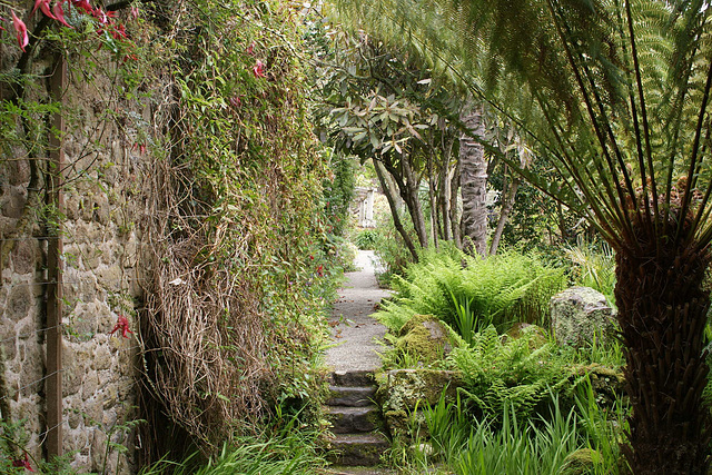 Tresco Abbey Gardens