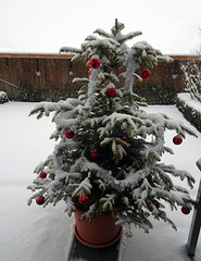 Einen schönen und Gesunden 3. Advent wünsche ich euch allen!!