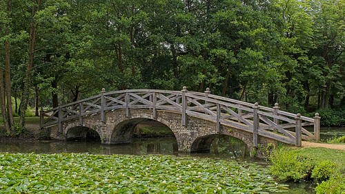 The Chinese Bridge (+PiP)