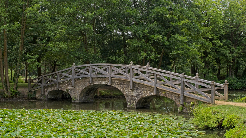 The Chinese Bridge (+PiP)