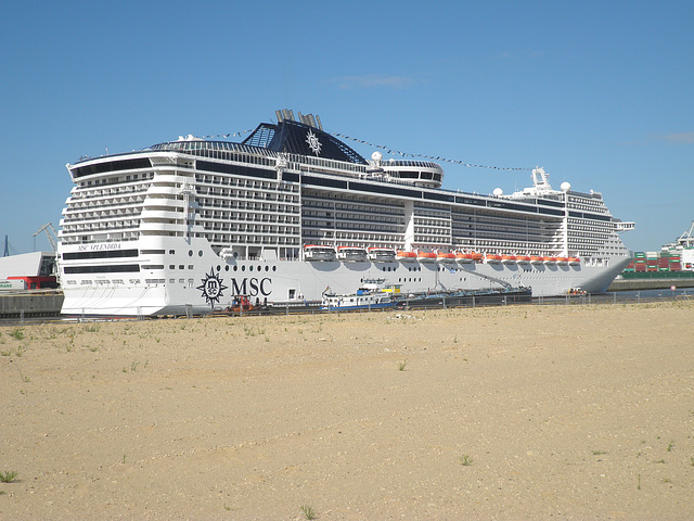 MSC Splendida