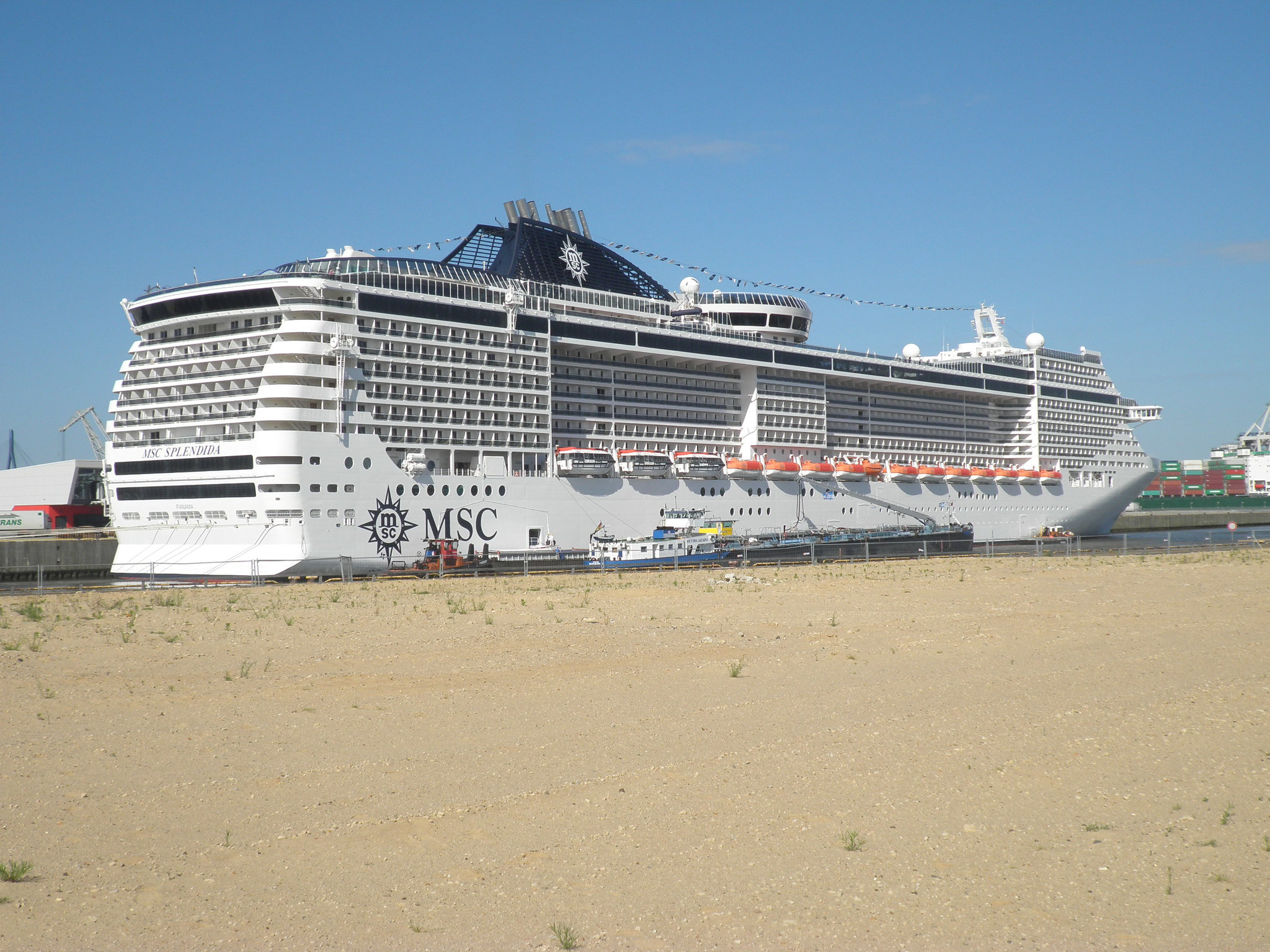 MSC Splendida