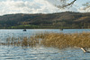 Vulkaneifel - Laacher See