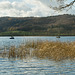 Vulkaneifel - Laacher See