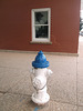 Caroline Lockhart's hydrant