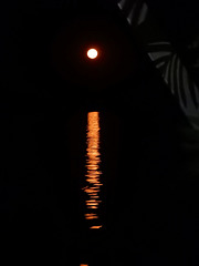 moon over the Zambesi River