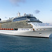 Celebrity Reflection