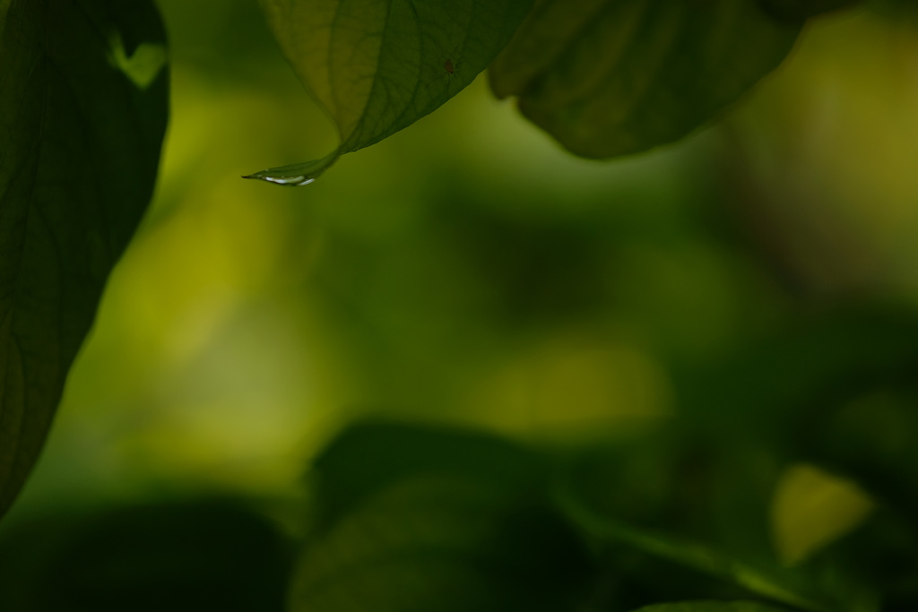 DSCF0829