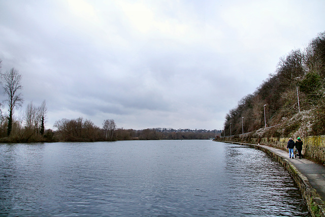 Die Ruhr zwischen Menden und Saarn (Mülheim an der Ruhr) / 18.01.2021