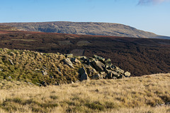 Bleaklow from Cock Hill