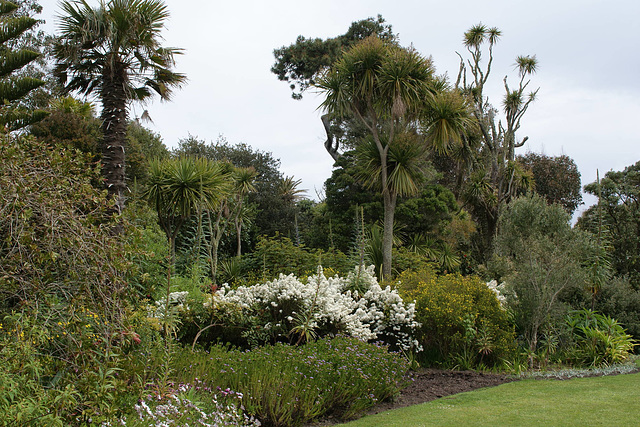 Tresco Abbey Gardens