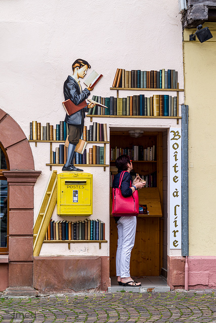 Der Bücherwurm...