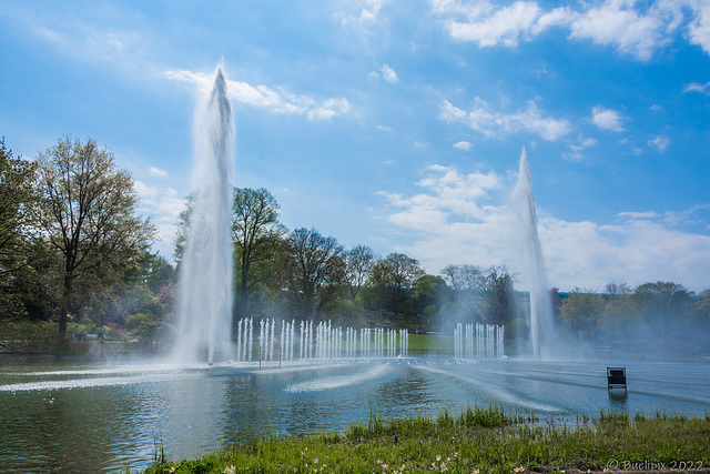 Planten un Blomen, Hamburg (© Buelipix)