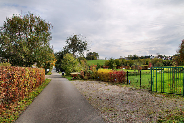 Schachtweg (Sprockhövel-Herzkamp) / 6.11.2022