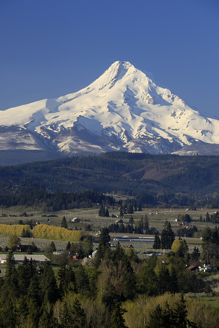 Mount Hood