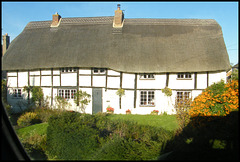 Chalgrove thatch